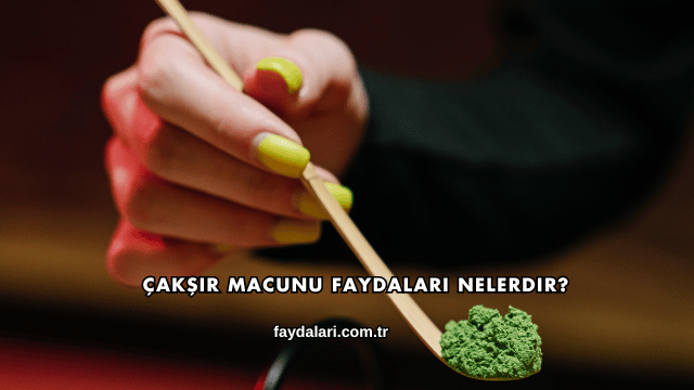 Çakşır Macunu Faydaları Nelerdir?