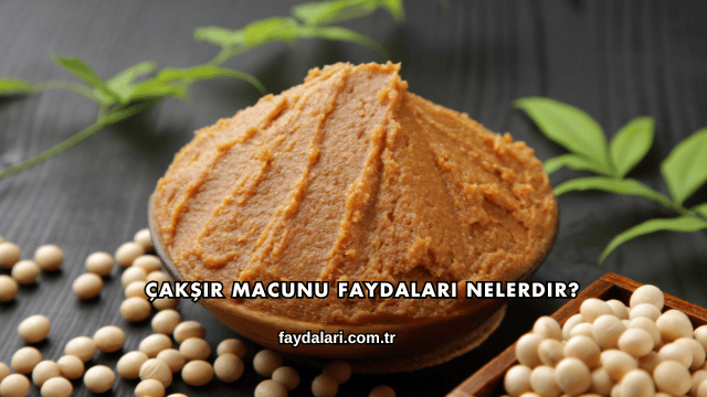Çakşır Macunu Faydaları Nelerdir?