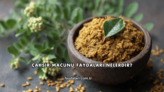 Çakşır Macunu Faydaları Nelerdir?