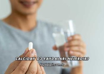 Calciday D3 Faydaları Nelerdir?