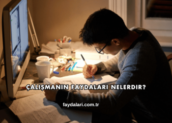 Çalışmanın Faydaları Nelerdir?