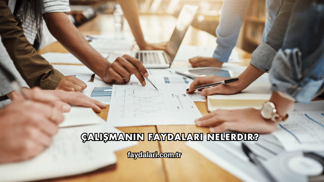 Çalışmanın Faydaları Nelerdir?