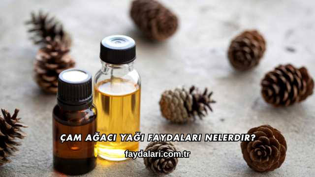 Çam Ağacı Yağı Faydaları Nelerdir?