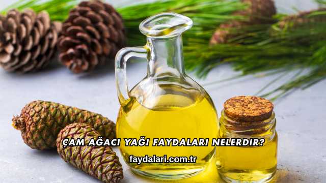 Çam Ağacı Yağı Faydaları Nelerdir?