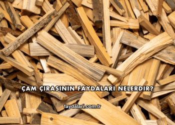 Çam Çırasının Faydaları Nelerdir?
