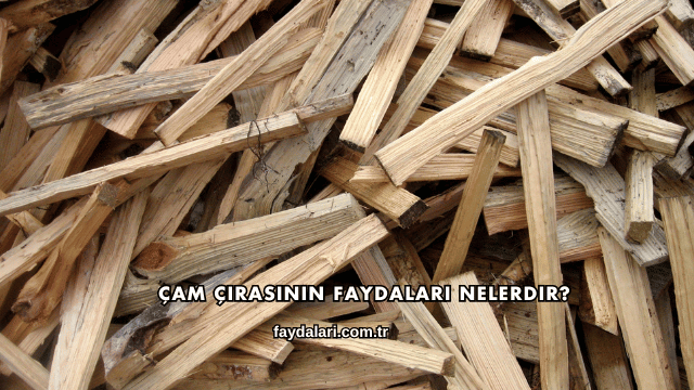 Çam Çırasının Faydaları Nelerdir?