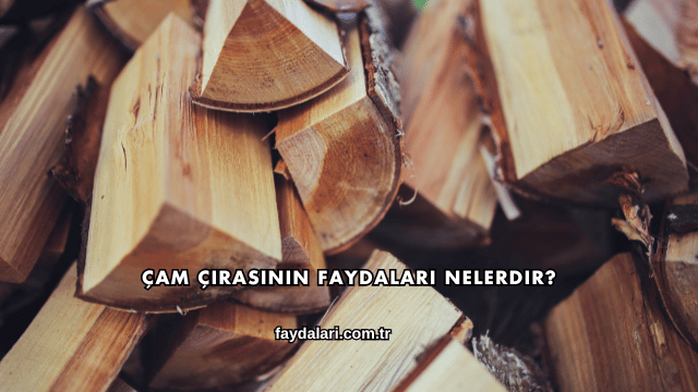 Çam Çırasının Faydaları Nelerdir?