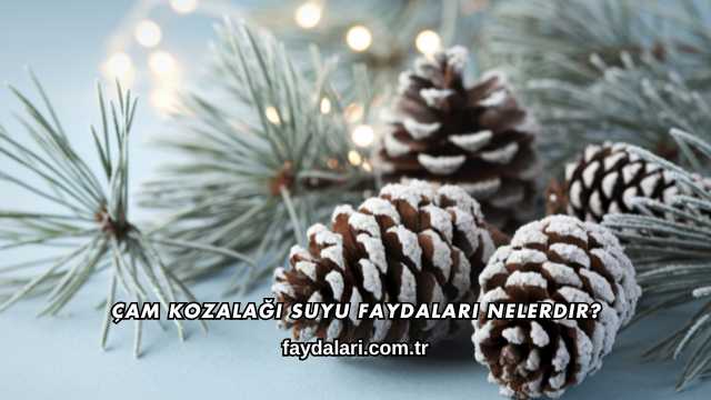 Çam Kozalağı Suyu Faydaları Nelerdir?