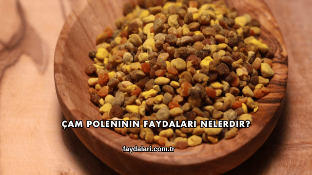 Çam Poleninin Faydaları Nelerdir?