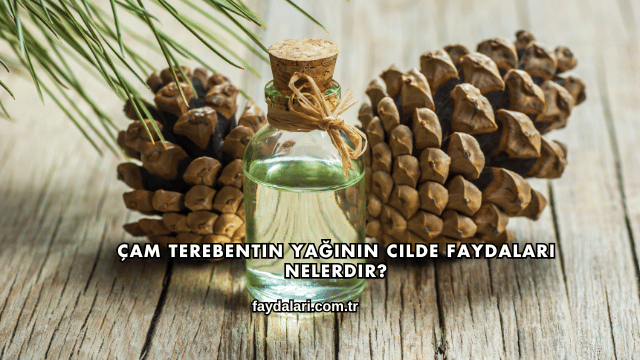 Çam Terebentin Yağının Cilde Faydaları Nelerdir?