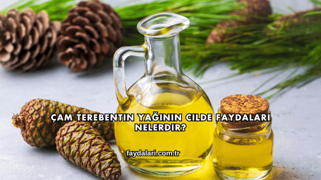 Çam Terebentin Yağının Cilde Faydaları Nelerdir?