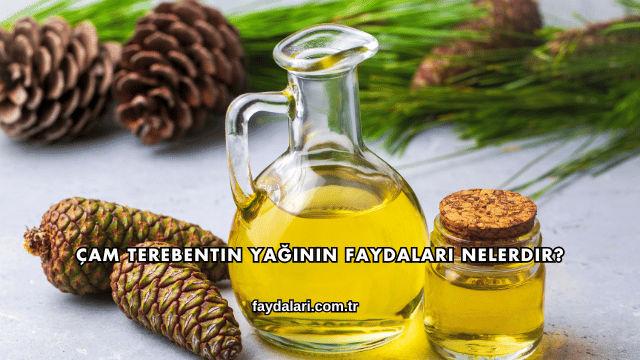 Çam Terebentin Yağının Faydaları Nelerdir?
