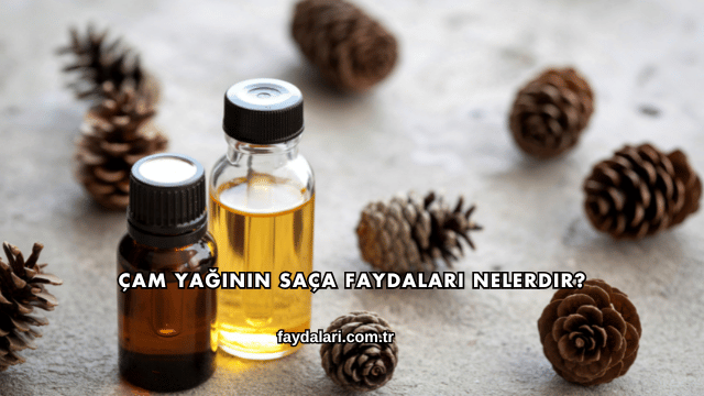 Çam Yağının Saça Faydaları Nelerdir?
