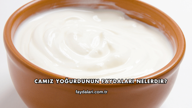 Camız Yoğurdunun Faydaları Nelerdir?
