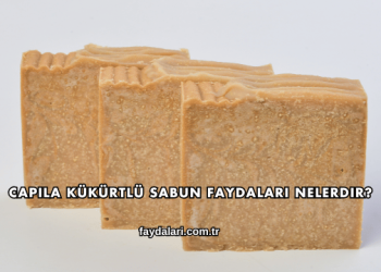 Capila Kükürtlü Sabun Faydaları Nelerdir?