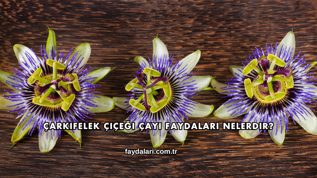 Çarkıfelek Çiçeği Çayı Faydaları Nelerdir?