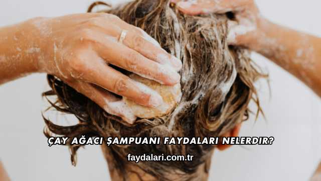 Çay Ağacı Şampuanı Faydaları Nelerdir?