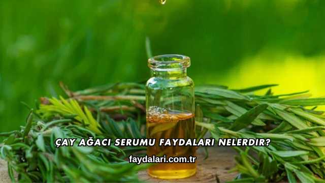 Çay Ağacı Serumu Faydaları Nelerdir?