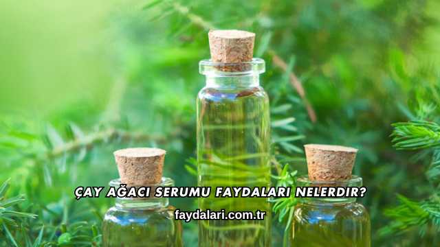 Çay Ağacı Serumu Faydaları Nelerdir?
