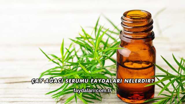 Çay Ağacı Serumu Faydaları Nelerdir?
