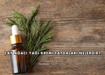 Çay Ağacı Yağı Kremi Faydaları Nelerdir?