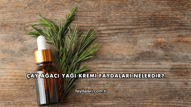 Çay Ağacı Yağı Kremi Faydaları Nelerdir?
