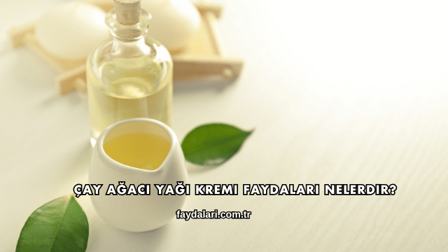 Çay Ağacı Yağı Kremi Faydaları Nelerdir?