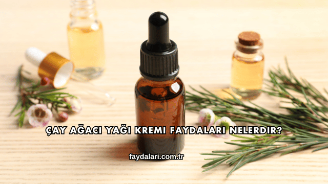 Çay Ağacı Yağı Kremi Faydaları Nelerdir?