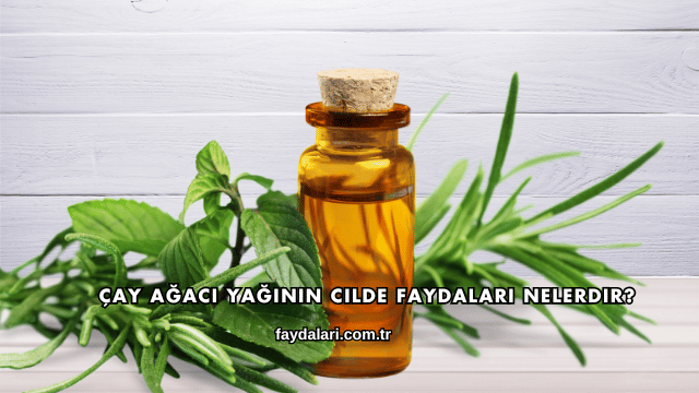 Çay Ağacı Yağının Cilde Faydaları Nelerdir?