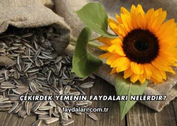 Çekirdek Yemenin Faydaları Nelerdir?