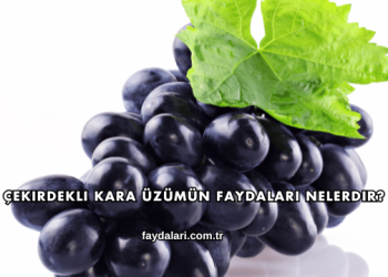 Çekirdekli Kara Üzümün Faydaları Nelerdir?