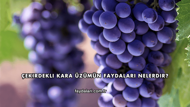 Çekirdekli Kara Üzümün Faydaları Nelerdir?
