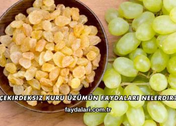 Çekirdeksiz Kuru Üzümün Faydaları Nelerdir?