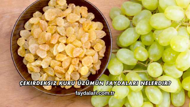 Çekirdeksiz Kuru Üzümün Faydaları Nelerdir?