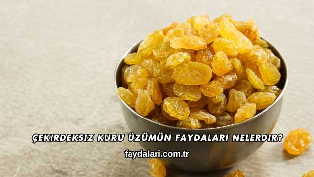 Çekirdeksiz Kuru Üzümün Faydaları Nelerdir?