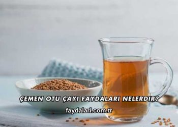 Çemen Otu Çayı Faydaları Nelerdir?