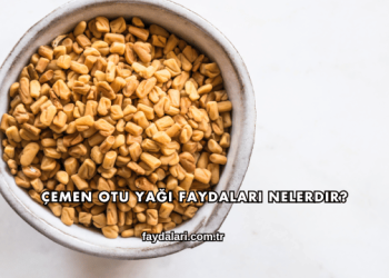 Çemen Otu Yağı Faydaları Nelerdir?