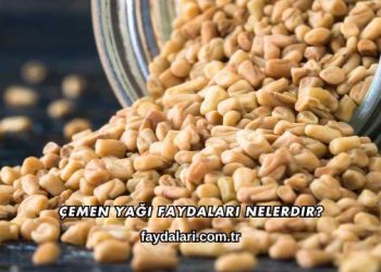 Çemen Yağı Faydaları Nelerdir?