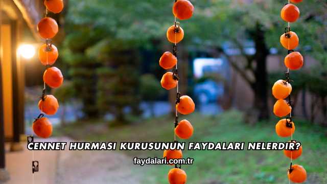 Cennet Hurması Kurusunun Faydaları Nelerdir?