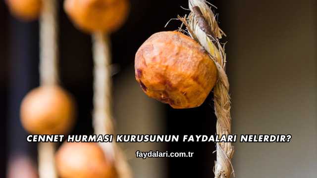 Cennet Hurması Kurusunun Faydaları Nelerdir?