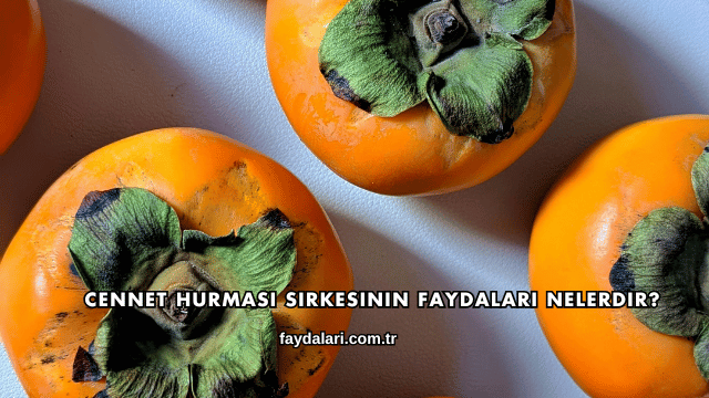 Cennet Hurması Sirkesinin Faydaları Nelerdir?