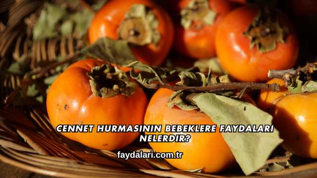 Cennet Hurmasının Bebeklere Faydaları Nelerdir?