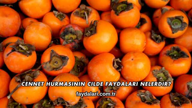 Cennet Hurmasının Cilde Faydaları Nelerdir?