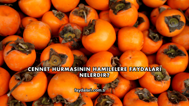 Cennet Hurmasının Hamilelere Faydaları Nelerdir?