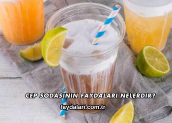 Cep Sodasının Faydaları Nelerdir?