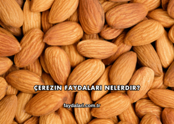 Çerezin Faydaları Nelerdir?