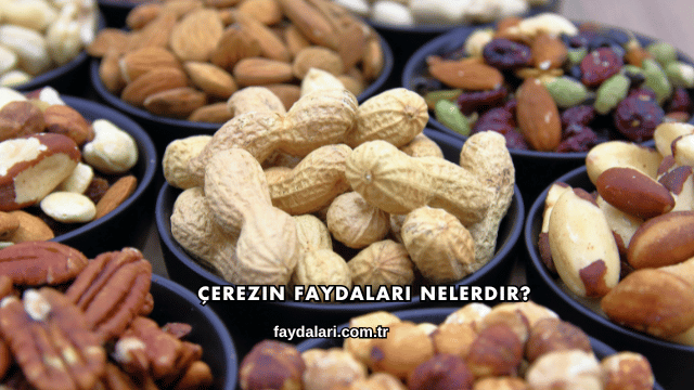 Çerezin Faydaları Nelerdir?