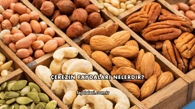 Çerezin Faydaları Nelerdir?