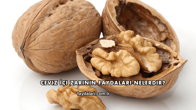 Ceviz İçi Zarının Faydaları Nelerdir?