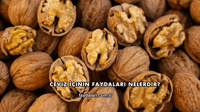 Ceviz İçinin Faydaları Nelerdir?